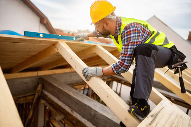 Roof Gutter Cleaning in Buffalo Center, IA