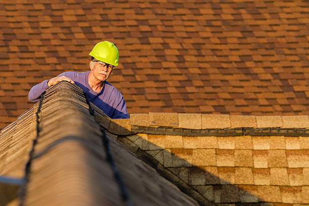 Best Storm Damage Roof Repair  in Buffalo Center, IA
