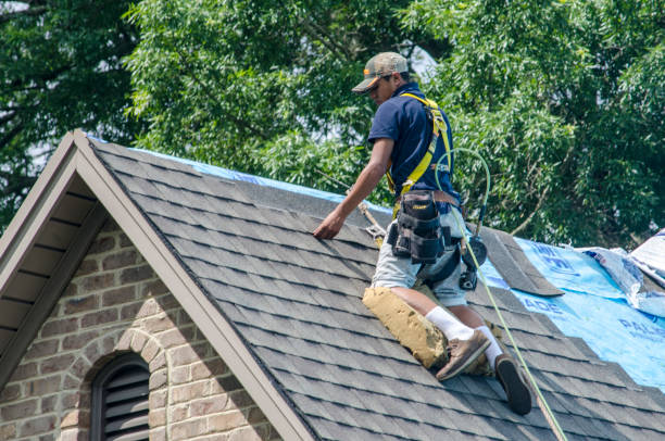 Trusted Buffalo Center, IA Roofing Contractor Experts